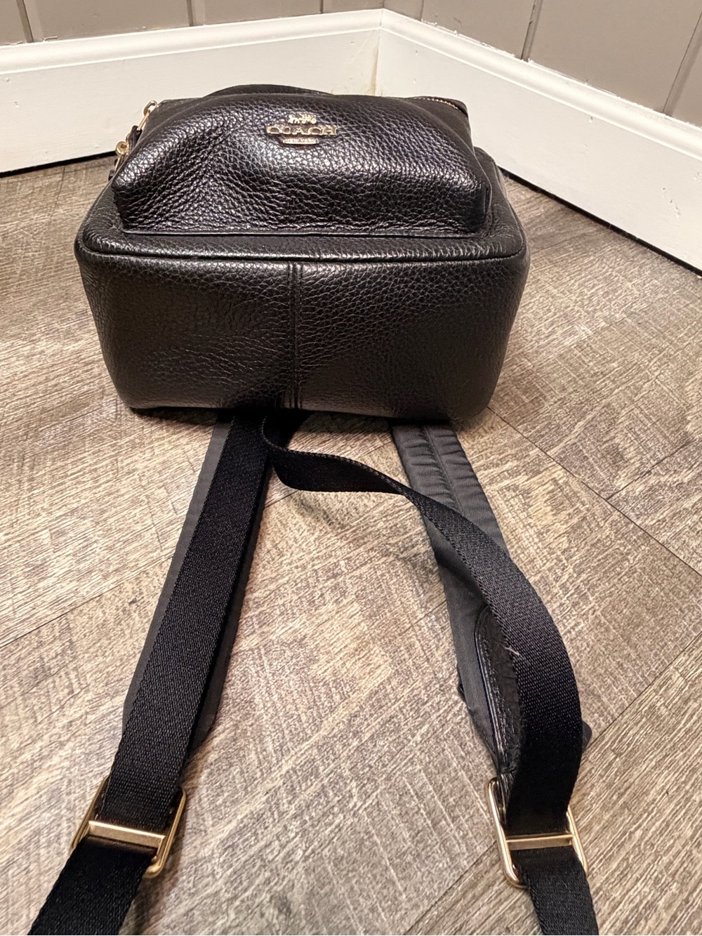 Coach Black Pebbled Leather Mini Charlie Backpack with Gold-Tone Hardware F28995 - Picture 3 of 12